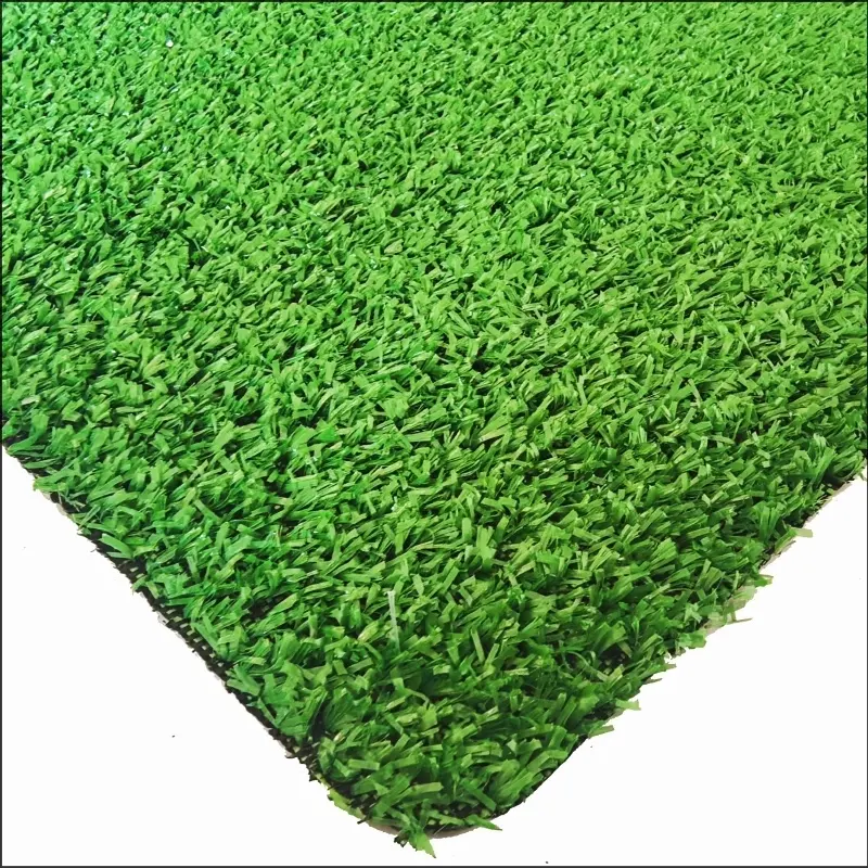 See More About Rumput permaidani CG8
