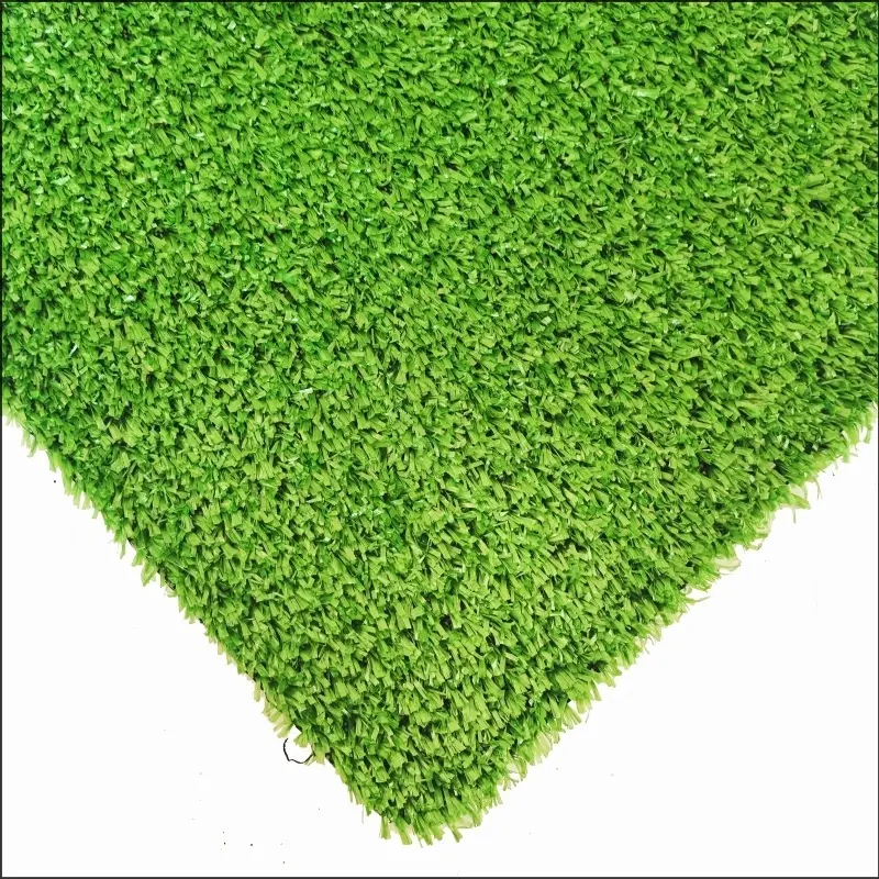 See More About Rumput permaidani CG10