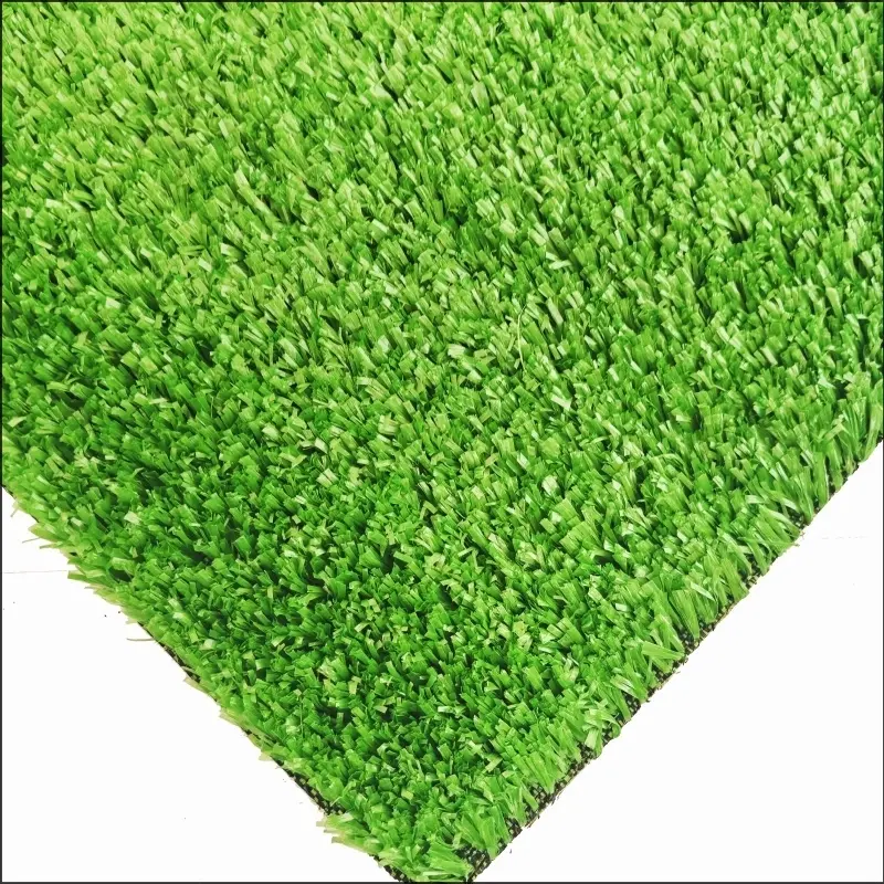See More About Rumput permaidani CG15