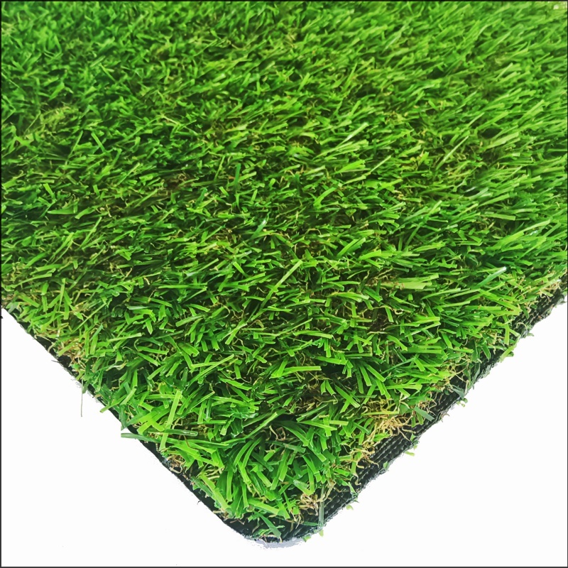 Rumput Taman (GG20)