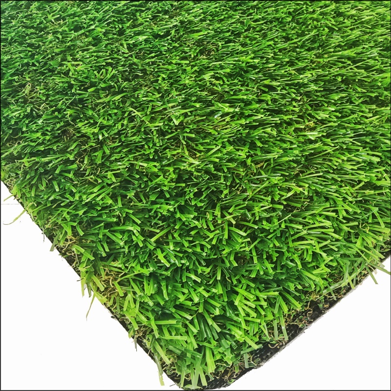 Rumput Taman (GG30)