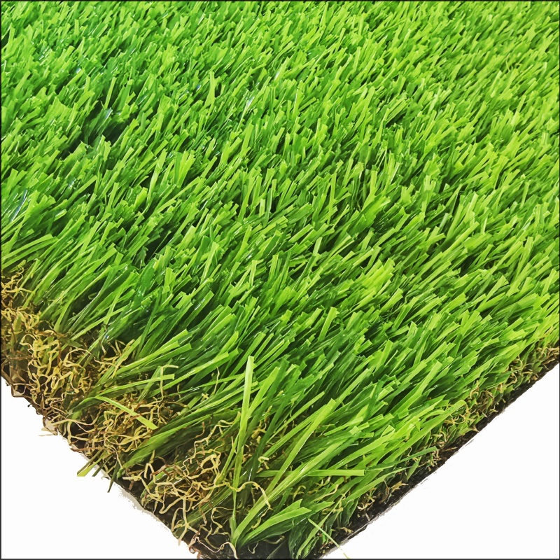 Rumput Taman (GG35)