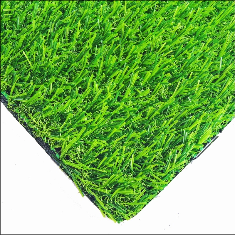 Rumput Taman Permainan (PG20)