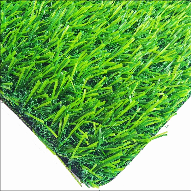 Rumput Taman Permainan (PG30)