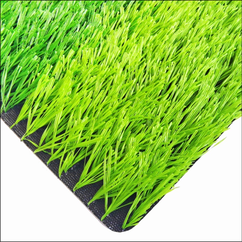 Rumput Bola Sepak (FG50)