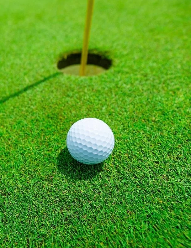 Rumput golf