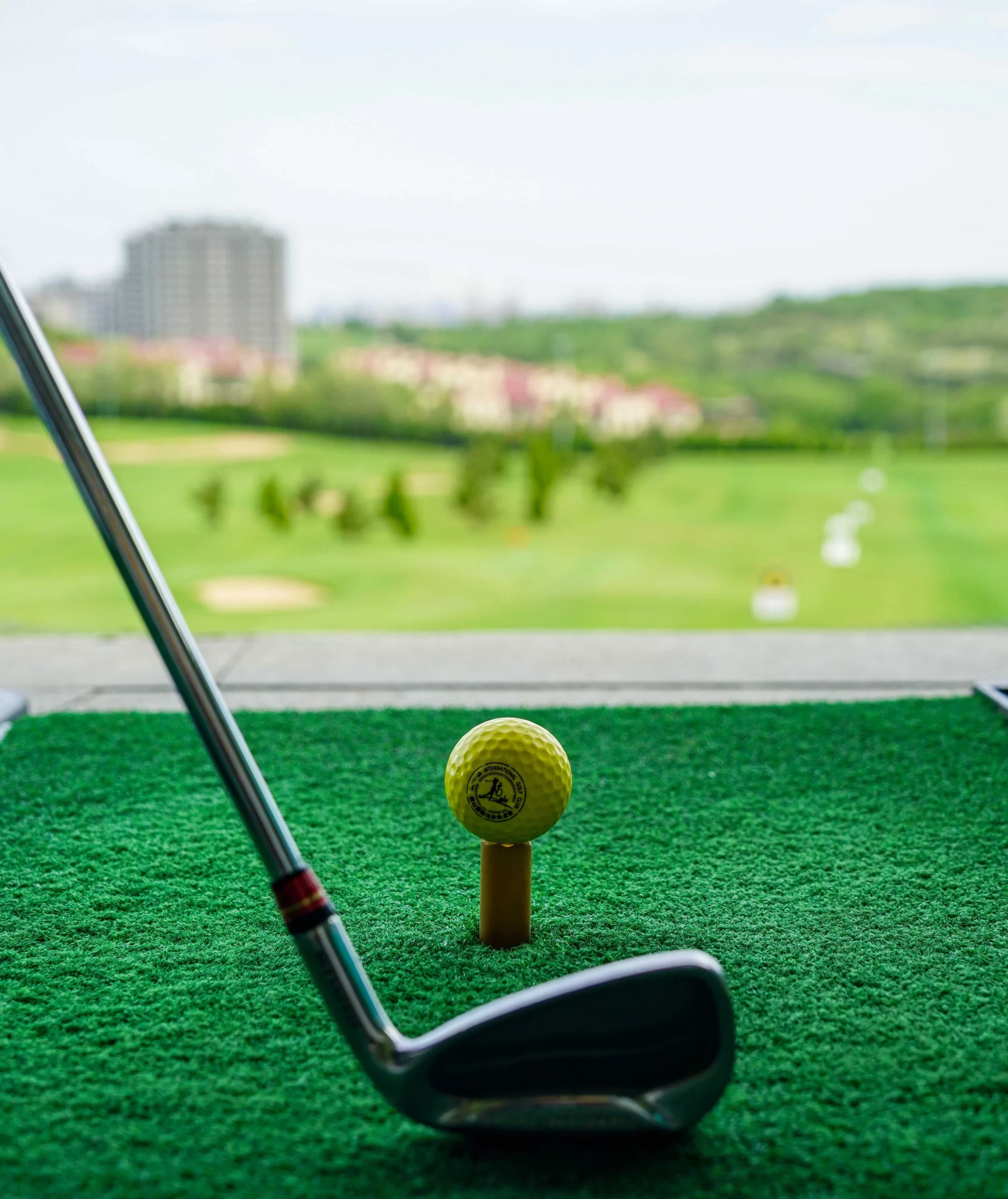 Golf Course Grass: jenis penting dan penyelenggaraan untuk rumput profesional